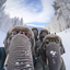 HBAR NFT Collection Merple's Adventure Buddies